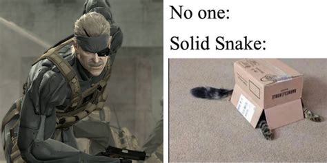 metal gear solid bird box meme|metal gear solid box gif.